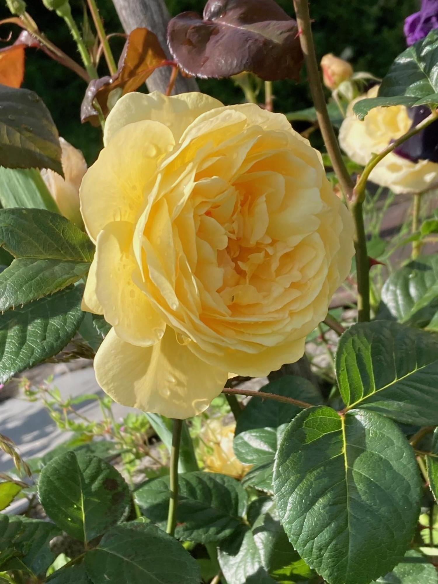 벨리 Sous Le Bon Toit B&B 외부 사진