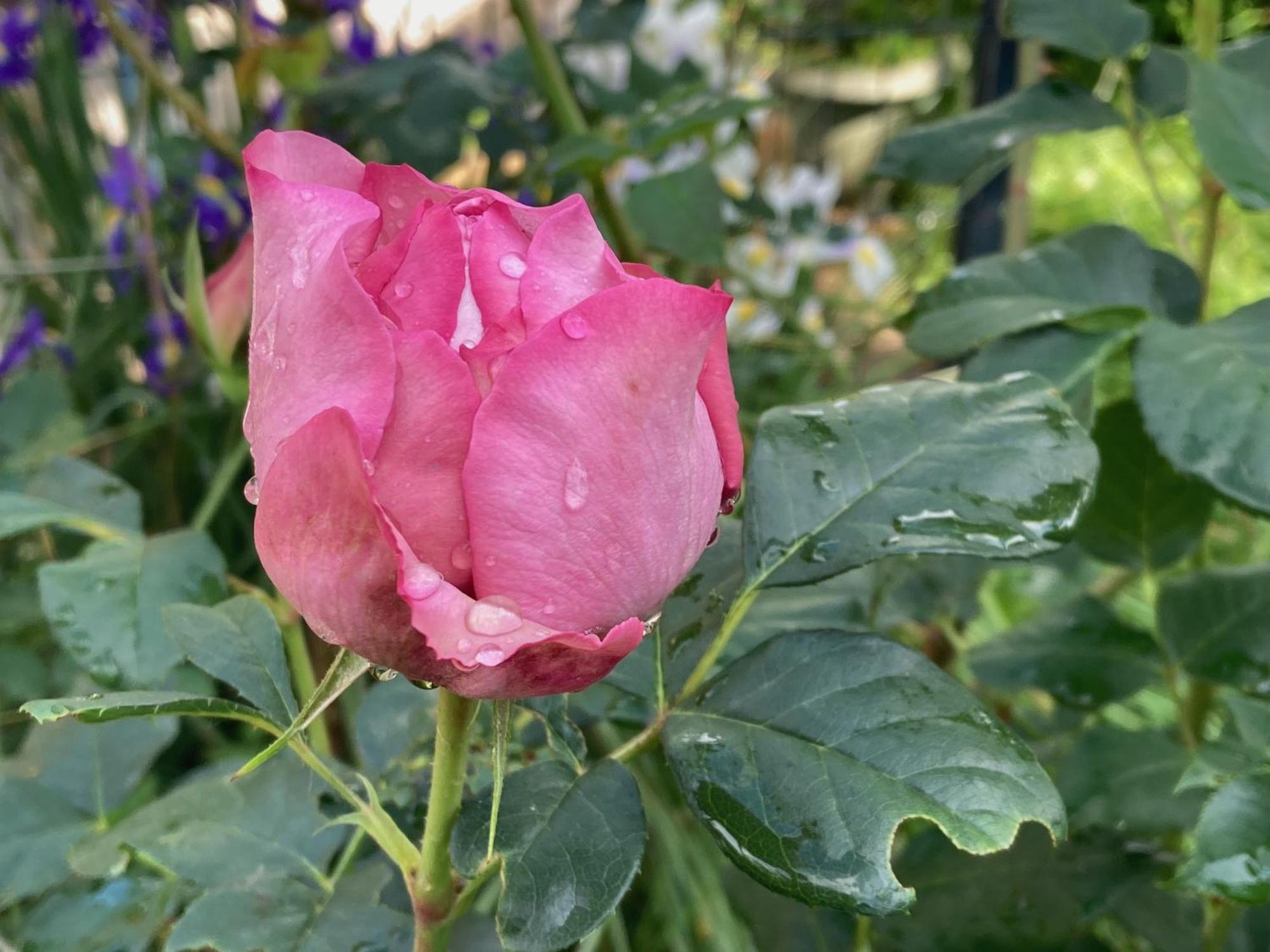 벨리 Sous Le Bon Toit B&B 외부 사진